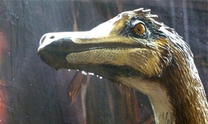 Gallimimus bullatus