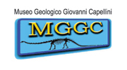 Museo Geologico Giovanni Capellini di Bologna