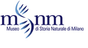 Museo di Storia Naturale di Milano