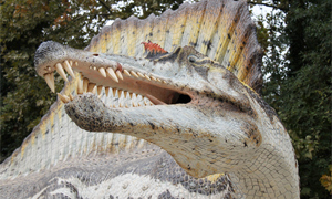 Spinosaurus aegyptiacus