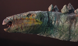Stegosaurus stenops