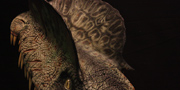 Dilophosaurus wetherilli