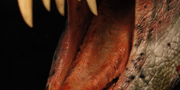 Dilophosaurus wetherilli