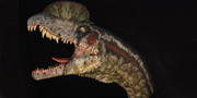 Dilophosaurus wetherilli