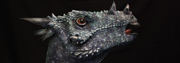 Dracorex hogwartsia