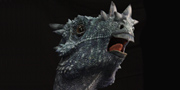 Dracorex hogwartsia