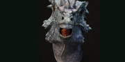 Dracorex hogwartsia