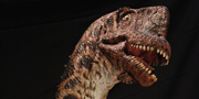 Europasaurus holgeri