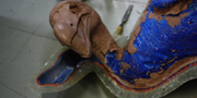 Dodo - Raphus cucullatus