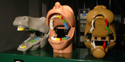 Mostre didattiche / Educational exhibitions