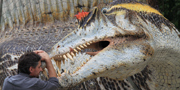 Spinosaurus aegyptiacus