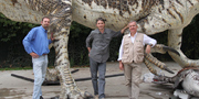 Spinosaurus aegyptiacus