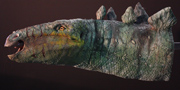 Stegosaurus stenops