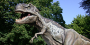 T.rex