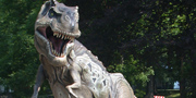T.rex