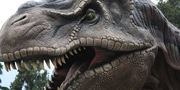 T.rex